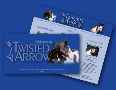 Twisted Arrow Website