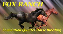 Fox Ranch Logo Banner