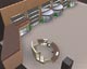 3D rendering of Kiosk for Rosen Centre Hotel