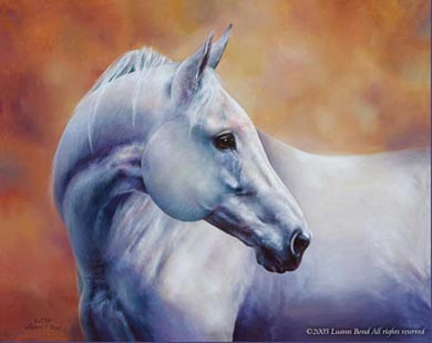 Oil Portrait Equine Art Painting of Elegant Serenity, Thoroughbred Stallion